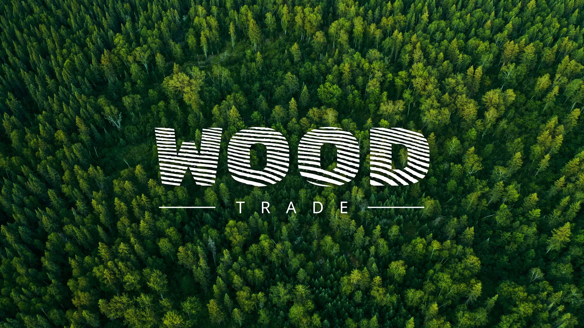 Разработка интернет-магазина компании «Wood Trade» в Шилке