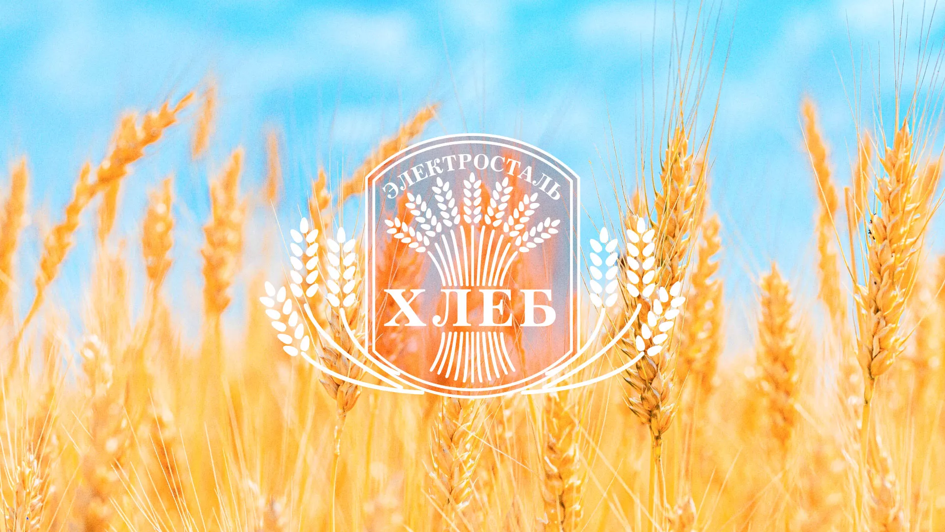 Создание сайта для хлебзавода в Шилке