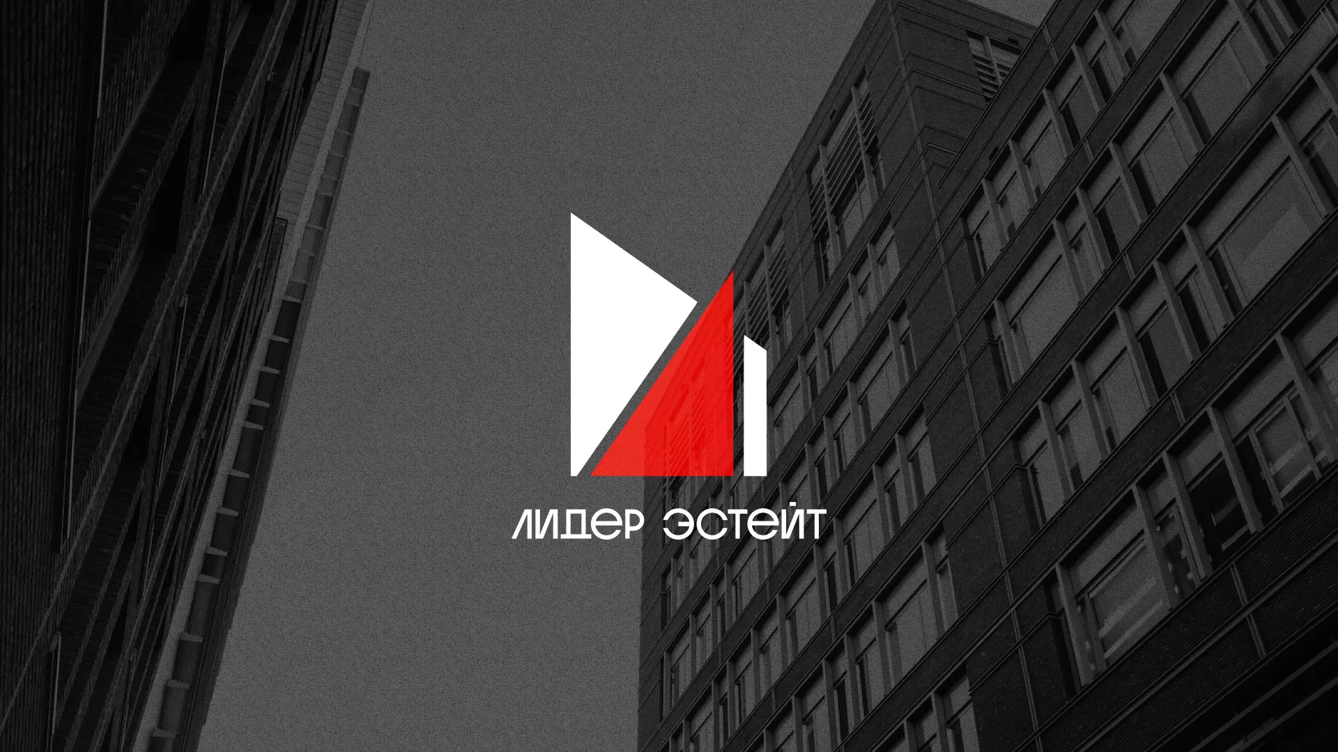 Сделали логотип для агентства недвижимости «Лидер Эстейт» в Шилке